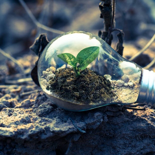 Green energy is when 100% of the energy produced comes from renewable sources. This can include: wind farms, hydropower, solar power, and geothermal energy.